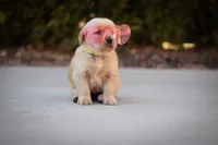 processed/ddb441b3-e1a4-47e9-b1b0-c421aee6b615/listing/892e6c13-3eac-4704-8044-f7cf4b8e6fa4/b57002b2-47d5-4854-ae86-e62c21992249