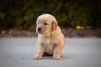 processed/ddb441b3-e1a4-47e9-b1b0-c421aee6b615/listing/892e6c13-3eac-4704-8044-f7cf4b8e6fa4/bc1009fd-6bc3-4749-9c96-5fc43c91724f