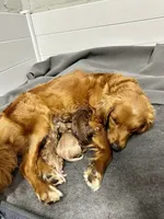 processed/ddb45a8c-5c80-48be-ab14-27e497b78bb9/facility/117d8c37-61a1-410b-8ceb-cda9c67e973f