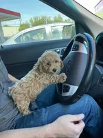 processed/ddb45a8c-5c80-48be-ab14-27e497b78bb9/facility/441da590-f9e8-4686-b728-9540c4959452