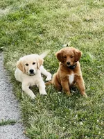 processed/ddb45a8c-5c80-48be-ab14-27e497b78bb9/facility/4a22169a-6f97-4610-993c-0bbe3cd34ae3