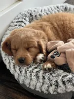 processed/ddb45a8c-5c80-48be-ab14-27e497b78bb9/facility/7cd8fe40-cb5d-4308-bcb1-14032f779ada