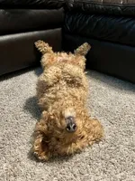 processed/ddb45a8c-5c80-48be-ab14-27e497b78bb9/facility/baf54bdd-b645-49c9-956d-1372cca1b465