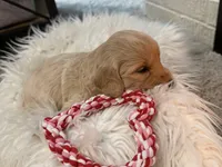 processed/ddb45a8c-5c80-48be-ab14-27e497b78bb9/listing/ae8a0971-eb89-441f-9042-d7db0d5a47b0/44664c88-9583-4182-93b3-73965ad2df42