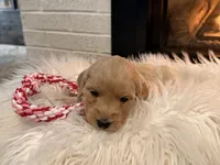 processed/ddb45a8c-5c80-48be-ab14-27e497b78bb9/listing/ae8a0971-eb89-441f-9042-d7db0d5a47b0/4ae7700b-d9cb-43f8-a42d-fadecbd0f070