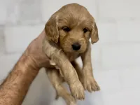 processed/ddb45a8c-5c80-48be-ab14-27e497b78bb9/listing/ae8a0971-eb89-441f-9042-d7db0d5a47b0/f1e049ac-cbca-47cc-a3f2-83cda35847d2