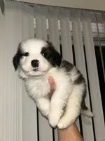 processed/ddbf6357-dab9-4023-aa62-40c1a148c5b6/listing/596ca68d-613d-427c-b36e-7ef2f6bd4d08/31188a0d-7167-416b-b5f7-20304e62b8e5