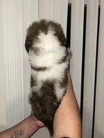 processed/ddbf6357-dab9-4023-aa62-40c1a148c5b6/listing/596ca68d-613d-427c-b36e-7ef2f6bd4d08/319e87dd-96a7-4058-b68a-991208741671