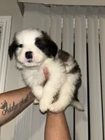 processed/ddbf6357-dab9-4023-aa62-40c1a148c5b6/listing/596ca68d-613d-427c-b36e-7ef2f6bd4d08/fde98c4f-fc34-487f-bb33-0f13af8fccdf