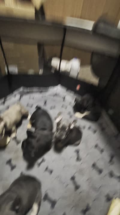 Facility video
