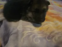 processed/ddcc55f5-952b-4a67-9cc4-660319b8bf17/listing/9b739a7b-ca99-483f-aa23-01d705af85d5/1a2139dd-2beb-4e58-b024-6c03fc41fa9a