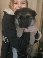 processed/ddcc55f5-952b-4a67-9cc4-660319b8bf17/listing/9b739a7b-ca99-483f-aa23-01d705af85d5/90b43e59-48ec-4df8-9c51-7e82e7db1d06