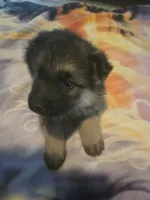 processed/ddcc55f5-952b-4a67-9cc4-660319b8bf17/listing/9b739a7b-ca99-483f-aa23-01d705af85d5/cd3018b1-07cb-4379-8750-8f2430c45056