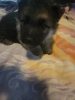 processed/ddcc55f5-952b-4a67-9cc4-660319b8bf17/listing/9b739a7b-ca99-483f-aa23-01d705af85d5/d6239533-aa92-4556-9051-53dfd22a486f