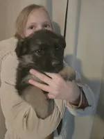 processed/ddcc55f5-952b-4a67-9cc4-660319b8bf17/listing/b7e15e0e-59bb-4e30-9adb-ffec7ed2062f/321ce662-c813-4215-a493-f854498699e0