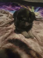 processed/ddcc55f5-952b-4a67-9cc4-660319b8bf17/listing/b7e15e0e-59bb-4e30-9adb-ffec7ed2062f/4ee2b1db-99fc-4038-9740-af1aaaef084e