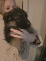 processed/ddcc55f5-952b-4a67-9cc4-660319b8bf17/listing/b7e15e0e-59bb-4e30-9adb-ffec7ed2062f/8763dd9e-75c4-49d9-9a2d-b810978474de