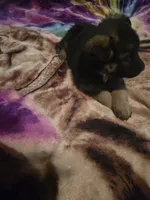 processed/ddcc55f5-952b-4a67-9cc4-660319b8bf17/listing/b7e15e0e-59bb-4e30-9adb-ffec7ed2062f/c7c5fbde-efa6-4dc8-8dba-eff2a0761441