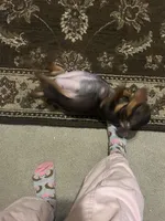 processed/ddd32314-ce27-430c-b409-d626eebdfbb6/facility/02de8031-dd23-4f32-9244-be1d3e1fcad9