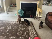 processed/ddd32314-ce27-430c-b409-d626eebdfbb6/facility/1c3227ba-3df1-4aee-9fa6-a52a1c9f0f2c