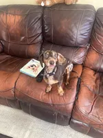 processed/ddd32314-ce27-430c-b409-d626eebdfbb6/facility/4abe2054-7b34-4292-b935-66a1d47a95f8