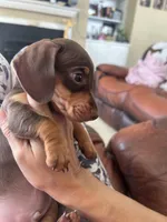 processed/ddd32314-ce27-430c-b409-d626eebdfbb6/facility/8d8fad4e-8956-4b75-b66f-17e9227aed5a