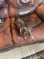 processed/ddd32314-ce27-430c-b409-d626eebdfbb6/facility/a6c4bda8-8c9e-4a03-b7a8-3584b333969b