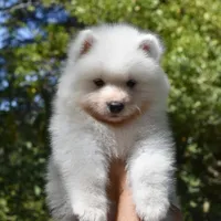 processed/dddb04fc-d267-411c-b759-ca1c97ca53d3/facility/b79c2ca8-0c81-4be8-a74e-b783f6fe924f