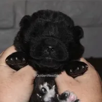 processed/dddb04fc-d267-411c-b759-ca1c97ca53d3/facility/c89dd27f-cfdb-45d2-b32e-35240753ada3