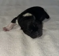 processed/dddb04fc-d267-411c-b759-ca1c97ca53d3/listing/817bd741-602a-4d7e-9178-315c3753aad8/281fa1db-0a7e-4214-b8d5-2009af64497b