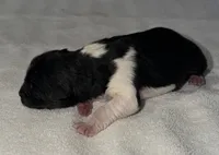 processed/dddb04fc-d267-411c-b759-ca1c97ca53d3/listing/817bd741-602a-4d7e-9178-315c3753aad8/697a38da-a51d-401d-98e4-ed8688b253a4