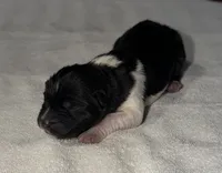 processed/dddb04fc-d267-411c-b759-ca1c97ca53d3/listing/817bd741-602a-4d7e-9178-315c3753aad8/b02af39e-f3ee-42d1-ab39-c8ab9c889555