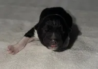 processed/dddb04fc-d267-411c-b759-ca1c97ca53d3/listing/817bd741-602a-4d7e-9178-315c3753aad8/e678ecd2-3395-42eb-9895-69e7154dd420