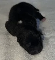 processed/dddb04fc-d267-411c-b759-ca1c97ca53d3/listing/a783cc02-45fd-49da-aa68-675922e8144f/5156fa9b-bb76-4f37-926f-48ee5b4754ef