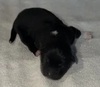 processed/dddb04fc-d267-411c-b759-ca1c97ca53d3/listing/a783cc02-45fd-49da-aa68-675922e8144f/519e6f45-5101-439a-b9d1-185765cbdf69