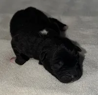 processed/dddb04fc-d267-411c-b759-ca1c97ca53d3/listing/a783cc02-45fd-49da-aa68-675922e8144f/696fab9a-0333-4bbe-8b4a-b7d47155de29