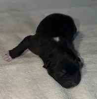 processed/dddb04fc-d267-411c-b759-ca1c97ca53d3/listing/a783cc02-45fd-49da-aa68-675922e8144f/bbfb1b06-bd62-43e6-ad1c-5e184db4f753