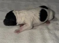 processed/dddb04fc-d267-411c-b759-ca1c97ca53d3/listing/a92cc581-52ff-43af-9880-0b97fd67d8bf/5cefc952-4d37-4091-8e2f-98bf78db417e