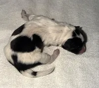 processed/dddb04fc-d267-411c-b759-ca1c97ca53d3/listing/a92cc581-52ff-43af-9880-0b97fd67d8bf/e02d72a8-47e5-456e-ac84-0c36cd40bef2