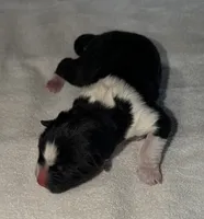 processed/dddb04fc-d267-411c-b759-ca1c97ca53d3/listing/c5e90841-aa80-4a86-9b83-0e14a4d6d2e5/26ae12b7-0246-46c5-b478-4863791cde09