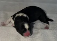 processed/dddb04fc-d267-411c-b759-ca1c97ca53d3/listing/c5e90841-aa80-4a86-9b83-0e14a4d6d2e5/3879b31e-dc0d-4962-89cb-25fda038b30e