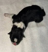 processed/dddb04fc-d267-411c-b759-ca1c97ca53d3/listing/c5e90841-aa80-4a86-9b83-0e14a4d6d2e5/bcf11345-dd41-4a70-9477-176747f22d1a