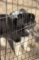 processed/dddb04fc-d267-411c-b759-ca1c97ca53d3/listing/d7f2c3b7-8e56-4ba5-a519-be61cb57b4e4/11087ddb-58a5-4afb-bc0f-abf12b9ceab1