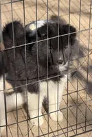 processed/dddb04fc-d267-411c-b759-ca1c97ca53d3/listing/d7f2c3b7-8e56-4ba5-a519-be61cb57b4e4/2b6ea84e-1ac8-4412-836f-77effd3b860d