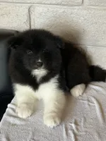 processed/dddb04fc-d267-411c-b759-ca1c97ca53d3/listing/d7f2c3b7-8e56-4ba5-a519-be61cb57b4e4/cc503ffe-04e6-4dd6-b5b8-1fba9db49893