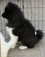 processed/dddb04fc-d267-411c-b759-ca1c97ca53d3/listing/d7f2c3b7-8e56-4ba5-a519-be61cb57b4e4/dae00311-21aa-49e1-b7e3-4a2885613bf7