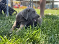 processed/dde15e02-4624-4325-a8df-898f54b94849/facility/4a9c9cb1-9e71-4f81-9ee5-404e3851fbf5