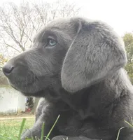 processed/dde15e02-4624-4325-a8df-898f54b94849/facility/6ef75856-f041-4838-b309-a52d4f1d8fb2