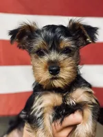 processed/dde15e02-4624-4325-a8df-898f54b94849/facility/97a949b7-6e43-47af-9394-25d5fabbbebb