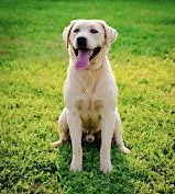 processed/dde15e02-4624-4325-a8df-898f54b94849/facility/ba1f1073-8241-4b2f-96b0-617481303125